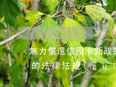 無力償還信用卡新政策(關于無力償還信用卡的法律法規(guī))