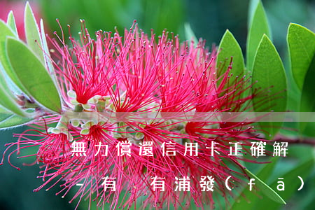 無力償還信用卡正確解決辦法浦發(fā)-有沒有浦發(fā)信用卡還不上的?