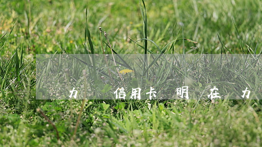 無力償還信用卡說明(實在無力償還信用卡)