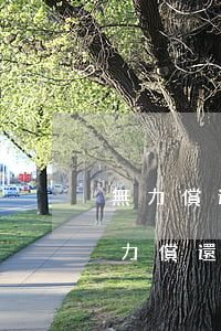無力償還信用卡貸款怎么辦(欠信用卡貸款無力償還怎么辦)
