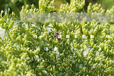 無力償還信用卡逾期銀行拒絕分期(欠信用卡銀行不肯協(xié)商怎么辦)