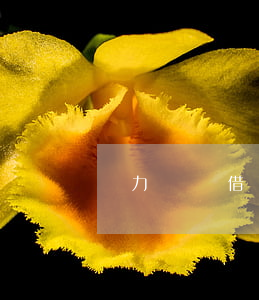 無力償還借貸寶(2020年借貸寶沒還起訴)