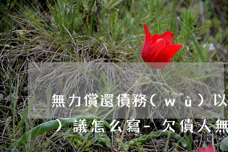 無力償還債務(wù)以地抵押協(xié)議怎么寫-欠債人無力償還用房屋抵債協(xié)議