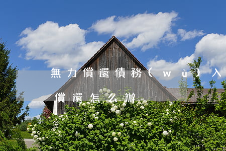 無力償還債務(wù)入室盜竊 盜竊罪無力償還怎么辦