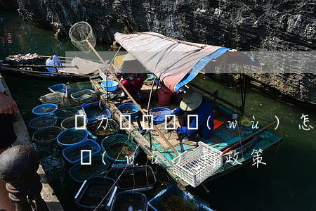 無力償還債務(wù)怎么治-無力償還債務(wù)新政策