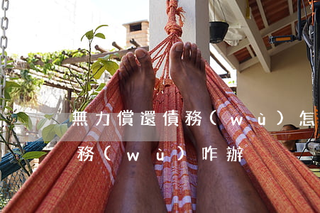 無力償還債務(wù)怎么起訴(無力償還債務(wù)咋辦)