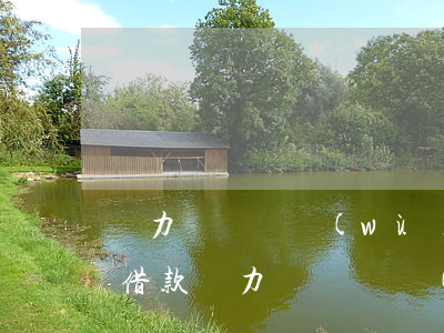 無力償還債務(wù)新政策(個(gè)人借款無力償還債務(wù)新政策)