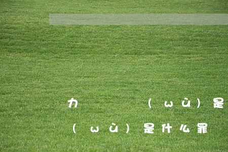 無力償還債務(wù)是什么罪(無力償還債務(wù)是什么罪)