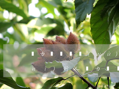 無力償還債務(wù)會拘留嗎-被執(zhí)行人無力償還債務(wù)會拘留嗎