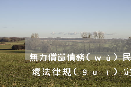 無力償還債務(wù)民法典(欠債人無力償還法律規(guī)定)