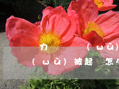 無力償還債務(wù)糾紛案(無力償還債務(wù)被起訴怎么辦)