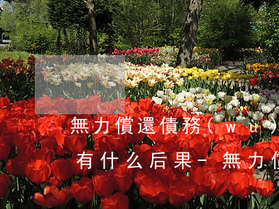 無力償還債務(wù)被起訴會(huì)有什么后果-無力償還債務(wù)被起訴會(huì)有什么后果嗎