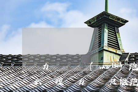 無力償還債務(wù)跑路會(huì)怎么處理（無力償還只能跑路了）