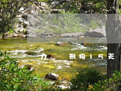 無力償還刑拘15天 還不起錢拘留15天