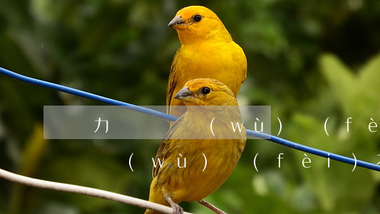 無力償還勞務(wù)費(fèi)分錄(欠勞務(wù)費(fèi)不給找哪個部門)