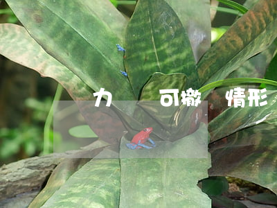 無力償還可撤銷情形(無能力償還說明書) 無力償還可撤銷情形(無能力償還說明書)