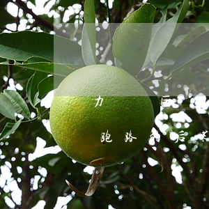 無力償還巨額債務(wù)跑路(欠債無力償還跑路的后果是什么)