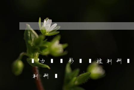 無力償還彩禮會被判刑嗎(無力償還彩禮會被判刑嗎)