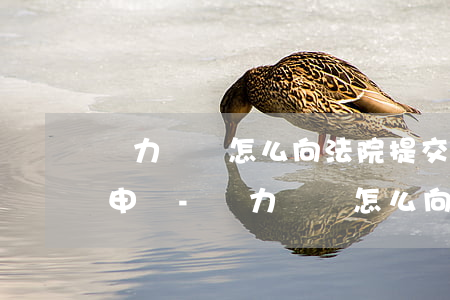 無力償還怎么向法院提交財產(chǎn)申報-無力償還怎么向法院提交財產(chǎn)申報材料