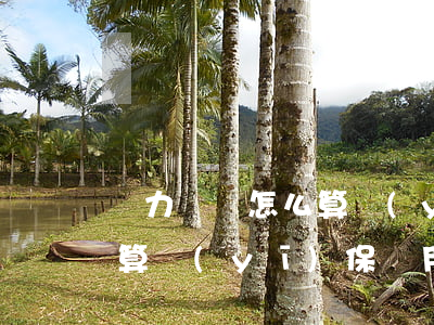 無力償還怎么算醫(yī)保(無力償還怎么算醫(yī)保費用)