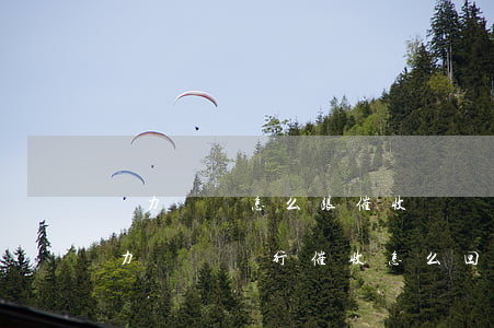 無力償還怎么跟催收說 現(xiàn)在無力償還銀行催收怎么回答