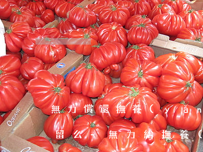 無力償還撫養(yǎng)費(fèi)拘留么-無力給撫養(yǎng)費(fèi)會被起訴嗎?
