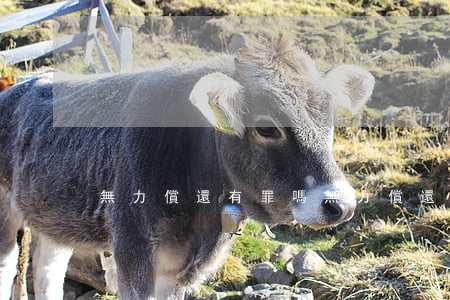 無力償還有罪嗎(無力償還最佳辦法)