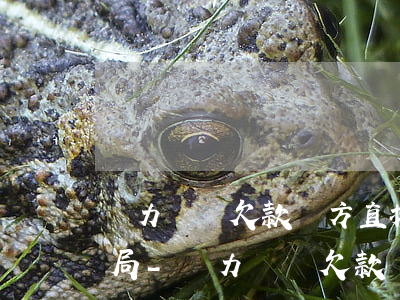 無力償還欠款對方直接告到執(zhí)行局-無力償還欠款對方直接告到執(zhí)行局怎么辦