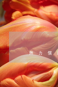 無力償還死亡賠償金(無力償還死亡賠償金)