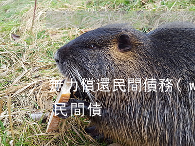 無力償還民間債務(wù)怎么辦（無力償還民間債）