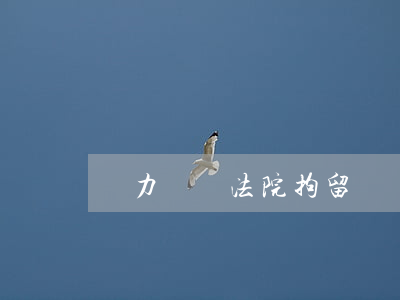 無力償還法院拘留嗎（無力償還法院還拘留）