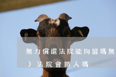 無力償還法院能拘留嗎(無力償還債務(wù)法院會抓人嗎)