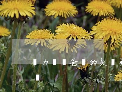 無力償還爸媽的欠債(欠父母的錢還不了怎么辦)