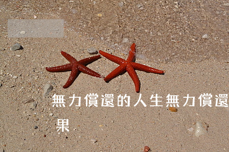 無力償還的人生 無力償還債務(wù)的后果