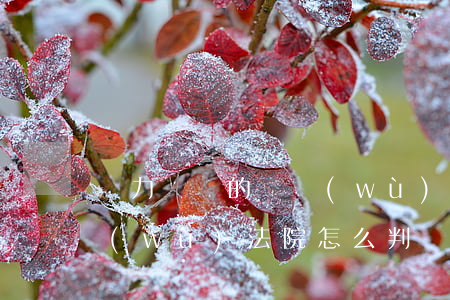 無力償還的債務(wù)纏身 無力償還債務(wù)法院怎么判