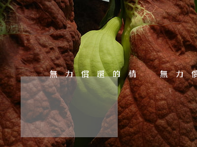 無力償還的情況(無力償還情況說明)