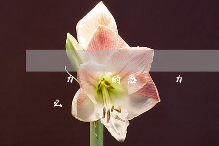 無力償還的感覺(無力償還的債務(wù)怎么辦)