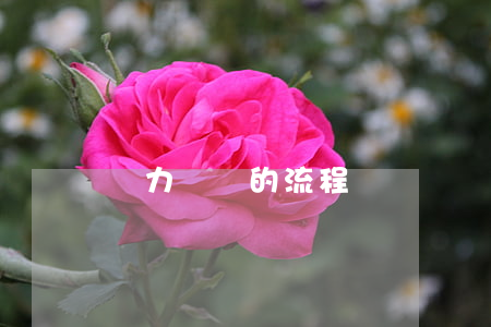 無力償還的流程