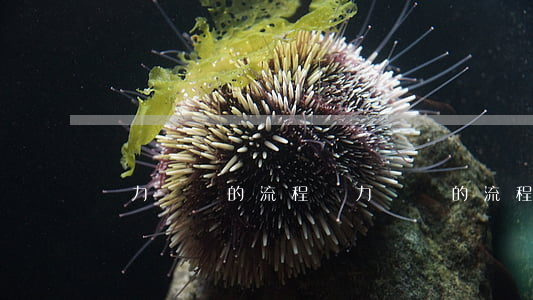 無力償還的流程(無力償還的流程是什么)