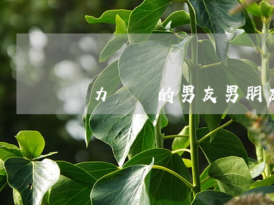 無力償還的男友(男朋友沒錢還欠債)
