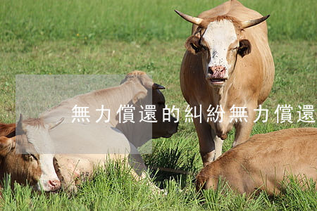 無力償還的糾紛(無力償還的糾紛)