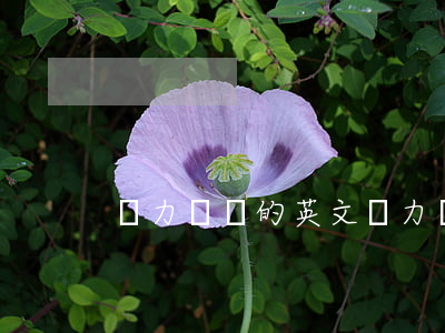 無力償還的英文(無力償還最佳辦法)