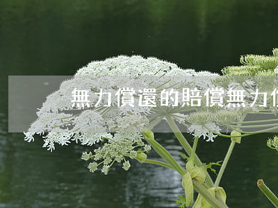 無力償還的賠償 無力償還的賠償金怎么算