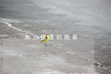 無力償還的賬單