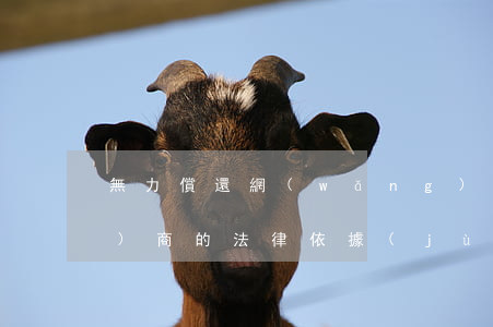 無力償還網(wǎng)貸可以協(xié)商的法律依據(jù)是什么-無法償還網(wǎng)貸,可以協(xié)商嗎