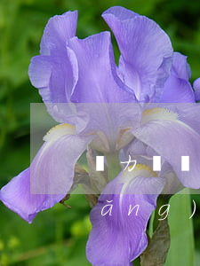 無力償還網(wǎng)貸可以起訴(網(wǎng)貸起訴沒有償還能力)