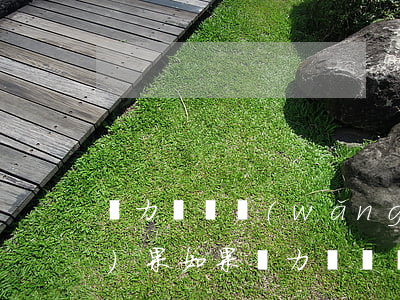 無力償還網(wǎng)貸最壞結(jié)果 如果無力償還網(wǎng)貸的后果是什么