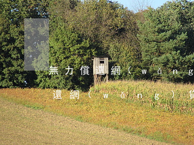 無力償還網(wǎng)貸被盜刷-無力償還網(wǎng)貸被盜刷錢怎么辦