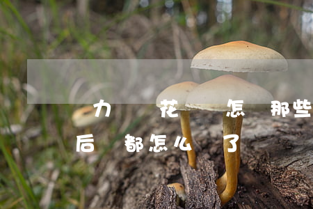 無力償還花唄會怎樣(那些年無力還花唄的人后來都怎么樣了)