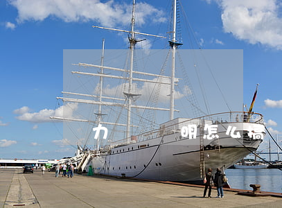 無力償還證明怎么搞(無力償還證明怎么搞到)